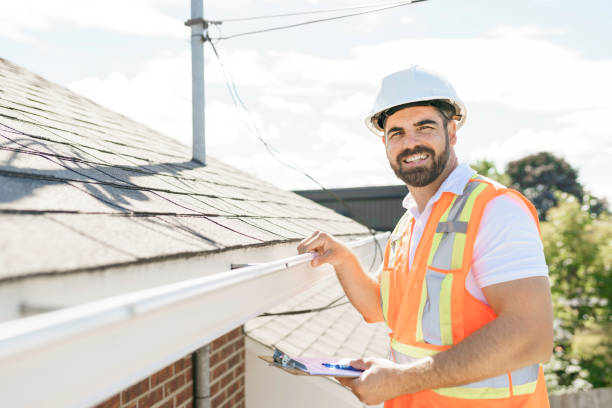 Roof Gutter Cleaning in George Mason, VA