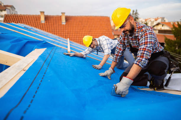 Best Roof Gutter Cleaning  in George Mason, VA