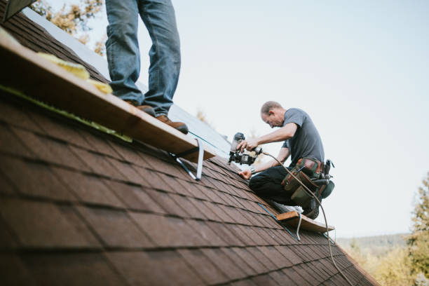 Best Roof Repair Services  in George Mason, VA